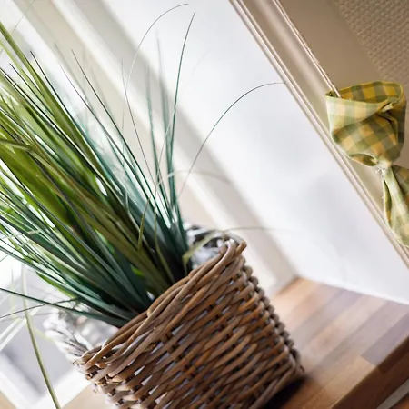 Gaat 7 Der Junge Heinrich * Кайтум